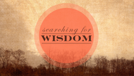 Searching for Wisdom