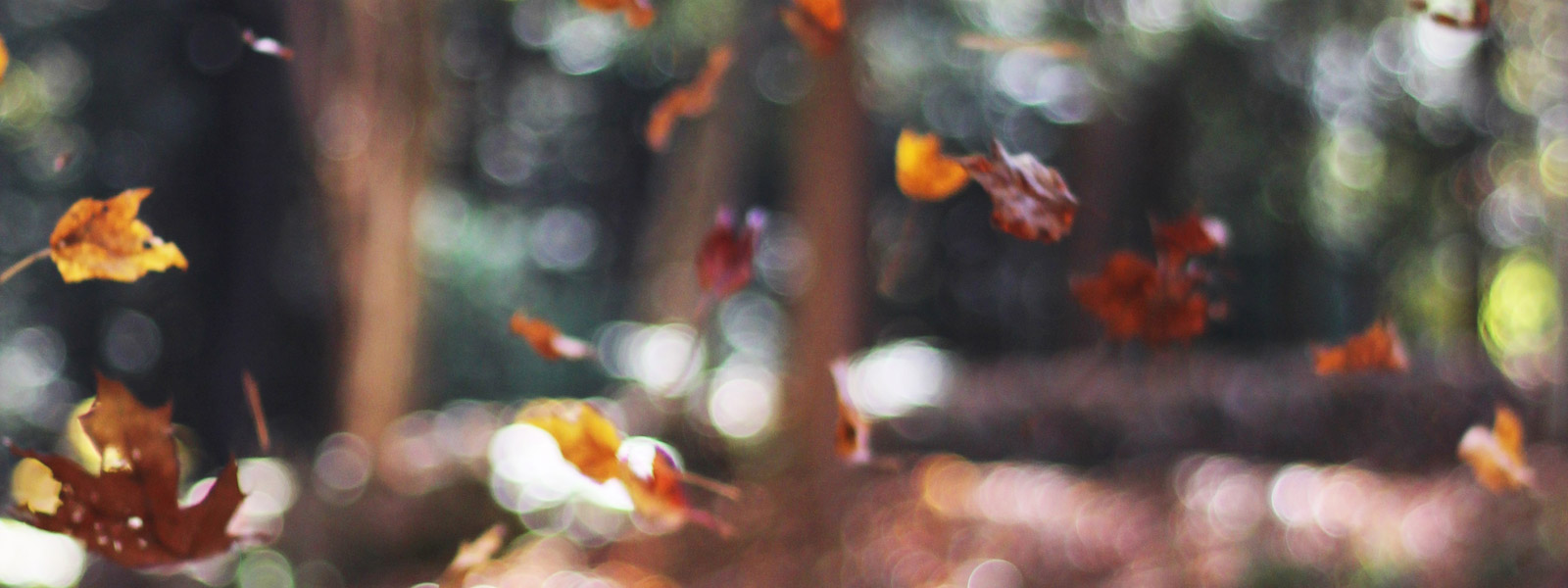 Talk It Over – How Do We Grow, Pt. 2