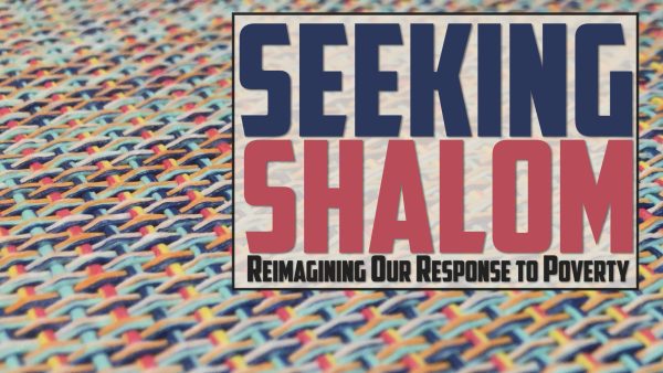Seeking Shalom Week 4 Image